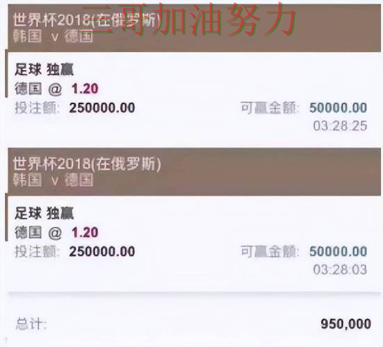 盘点世界杯投注平台：从速度测试到直播观看全流程解析 - 世界杯实时直播